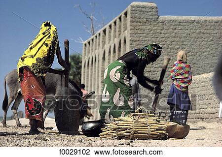 Mali, Guidio, women grinding millet View Large Photo Image Stock Image - Mali, Guidio, women grinding millet. Fotosearch