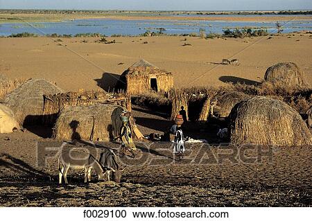 Mali, near Debo lake, Fula camp at dusk View Large Photo Image Stock Image - Mali, near Debo lake, Fula camp at dusk. Fotosearch