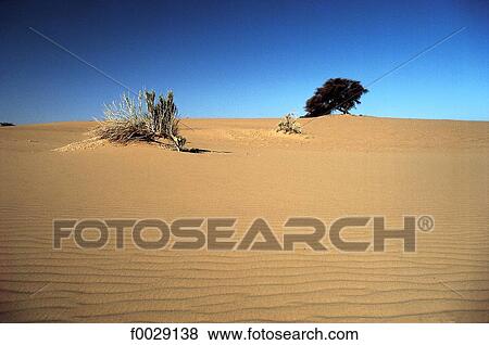 Mauritania, Sahara, Adrar region, desert View Large Photo Image Stock Photo - Mauritania, Sahara, Adrar region, desert. Fotosearch