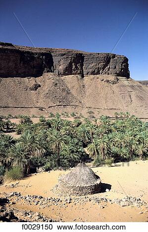 Mauritania, Sahara, Adrar region, Terjit oasis View Large Photo Image Stock Image - Mauritania, Sahara, Adrar region, Terjit oasis. Fotosearch