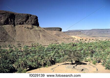 Stock Photo - Mauritania, Sahara, Adrar region, Terjit oasis. Fotosearch