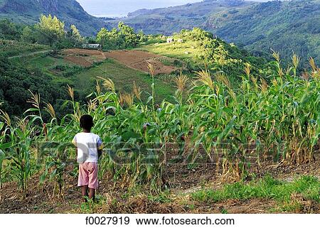 Stock Photo - Mauritius, Rodrigues island, child by a mountain landscape. Fotosearch