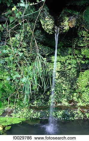 Moss-covered fountain View Large Photo Image Stock Photograph - Moss-covered fountain. Fotosearch