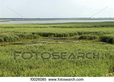 Romania, Danube Delta View Large Photo Image Stock Photography - Romania, Danube Delta. Fotosearch