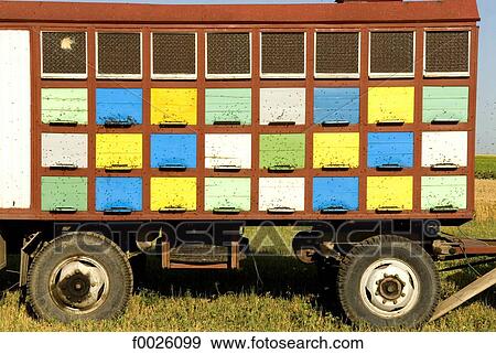 Stock Photo - Romania, Dobruja, hives. Fotosearch