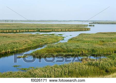 Romania, Dobruja, near Rachelu, Danube Delta View Large Photo Image Stock Image - Romania, Dobruja, near Rachelu, Danube Delta. Fotosearch