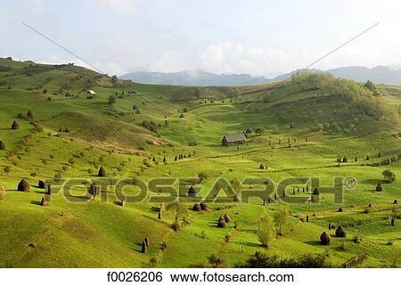 Romania, Maramures, near Bocicoel, country landscape View Large Photo Image Stock Photograph - Romania, Maramures, near Bocicoel, country landscape. Fotosearch