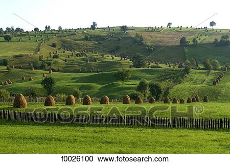 Stock Image - Romania, Moldavia, province of Bukovina, near Humor, country landscape. Fotosearch