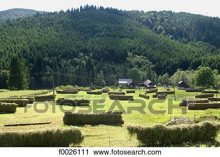 Romania, Moldavia, province of Bukovina, country landscape View Large Photo Image Stock Image - Romania, Moldavia, province of Bukovina, country landscape. Fotosearch