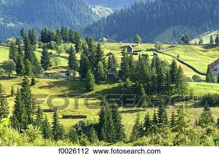 Stock Image - Romania, Moldavia, province of Bukovina, near Pojorata, country landscape. Fotosearch