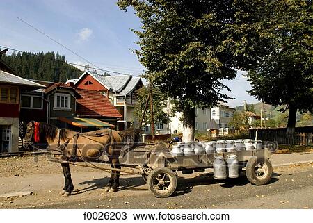 Stock Image - Romania, Moldavia, province of Bukovina, milk churn collection. Fotosearch