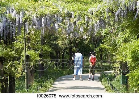 Stock Photo - Romania, Muntenia, Bucharest, stroll in the Cismigiu Gardens. Fotosearch