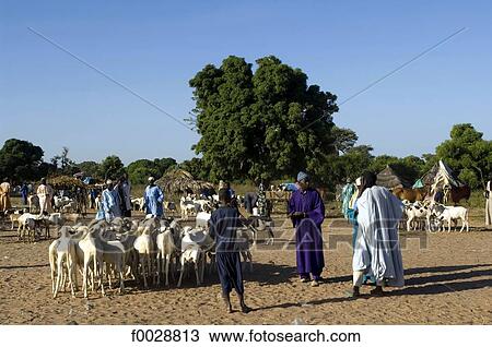 Senegal, bush market View Large Photo Image Stock Image - Senegal, bush market. Fotosearch