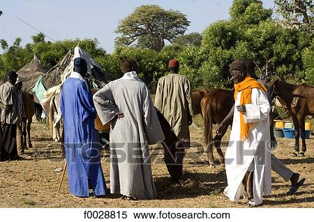 Stock Photography - Senegal, Gueguenne, bush market. Fotosearch