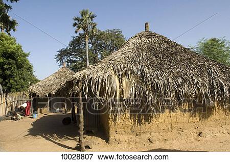 Stock Photo - Senegal, near Saloum delta, bush village, traditional dwelling. Fotosearch