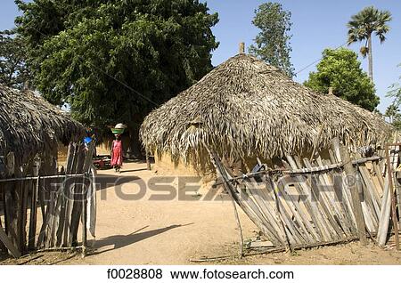 Stock Photo - Senegal, near Saloum delta, bush village, traditional dwelling. Fotosearch