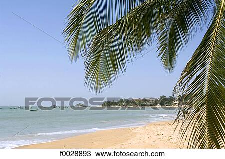 Senegal, Petite côte, Saly, beach View Large Photo Image Stock Image - Senegal, Petite côte, Saly, beach. Fotosearch