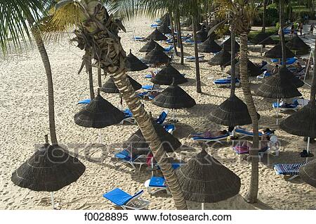 Senegal, Petite côte, Saly, beach, parasols View Large Photo Image Stock Photography - Senegal, Petite côte, Saly, beach, parasols. Fotosearch