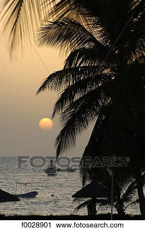 Senegal, Petite côte, Saly, sunset View Large Photo Image Stock Image - Senegal, Petite côte, Saly, sunset. Fotosearch