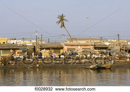 Senegal, Saint-Louis, port View Large Photo Image Stock Image - Senegal, Saint-Louis, port. Fotosearch