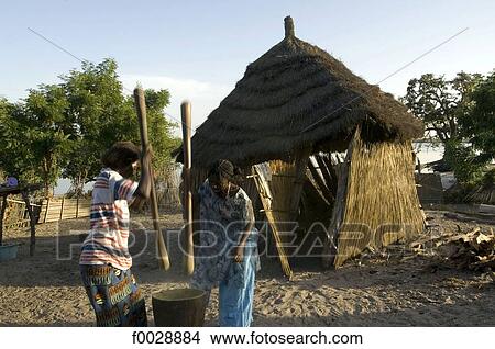 Senegal, Saloum delta, Sine Saloum, women in a village View Large Photo Image Picture - Senegal, Saloum delta, Sine Saloum, women in a village. Fotosearch