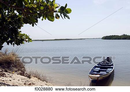 Senegal, Saloum delta, Sine Saloum View Large Photo Image Stock Image - Senegal, Saloum delta, Sine Saloum. Fotosearch