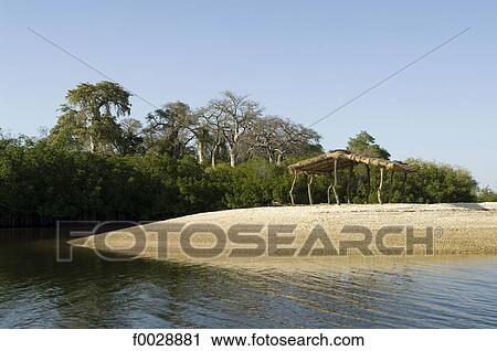 Senegal, Saloum delta, Sine Saloum View Large Photo Image Stock Image - Senegal, Saloum delta, Sine Saloum. Fotosearch