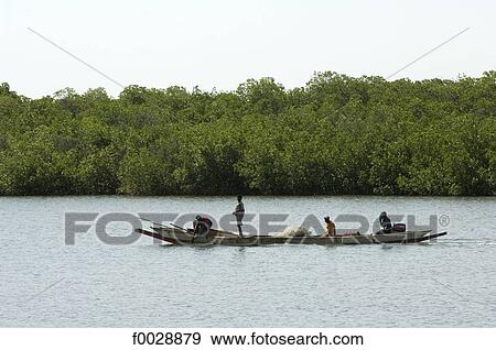 Senegal, Saloum delta, Sine Saloum, fishermen View Large Photo Image Stock Photo - Senegal, Saloum delta, Sine Saloum, fishermen. Fotosearch