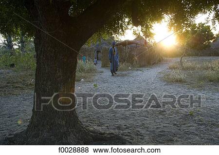Senegal, Saloum delta, Sine Saloum, village View Large Photo Image Stock Photo - Senegal, Saloum delta, Sine Saloum, village. Fotosearch