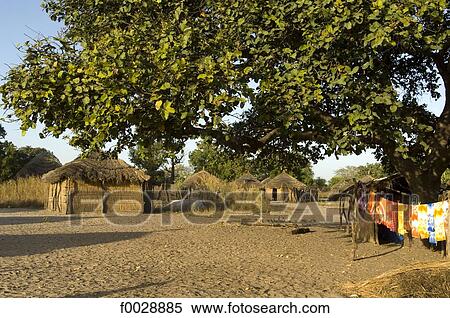 Stock Photography - Senegal, Saloum delta, Sine Saloum, village. Fotosearch