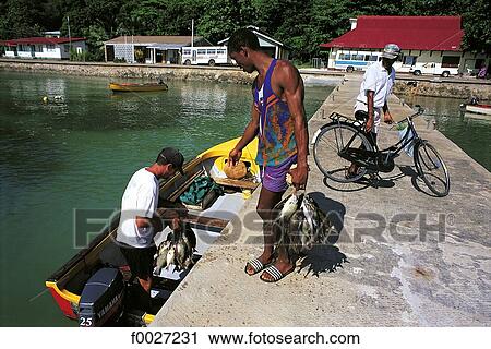Stock Image - Seychelles, Praslin, Grand'Anse, return from fishing. Fotosearch
