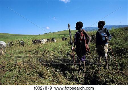 Tanzania, Serengeti National Park, Maasai children and their herd View Large Photo Image Stock Photo - Tanzania, Serengeti National Park, Maasai children and their herd. Fotosearch