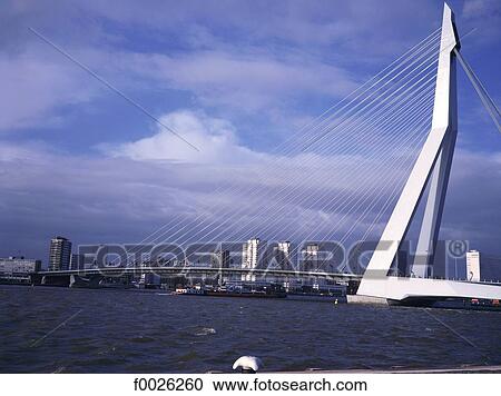 The Netherlands, South Holland, Rotterdam, Erasmus Bridge View Large Photo Image Stock Image - The Netherlands, South Holland, Rotterdam, Erasmus Bridge. Fotosearch