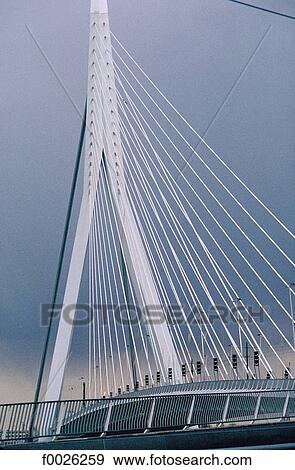 Stock Photo - The Netherlands, South Holland, Rotterdam, Erasmus Bridge. Fotosearch
