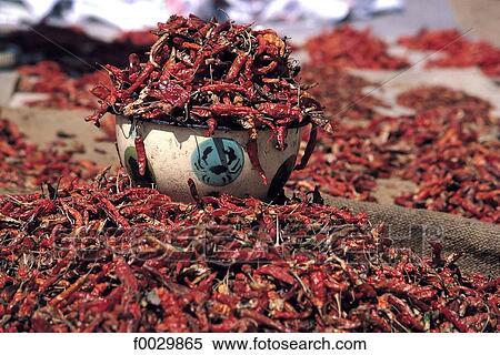 Togo, chili peppers View Large Photo Image Stock Photography - Togo, chili peppers. Fotosearch
