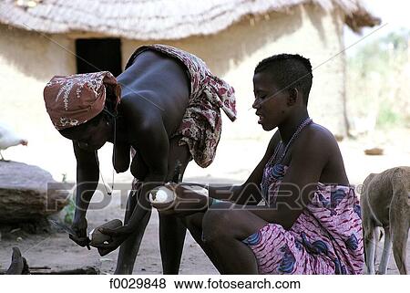 Stock Photo - Togo, Fula women shucking manioc . Fotosearch