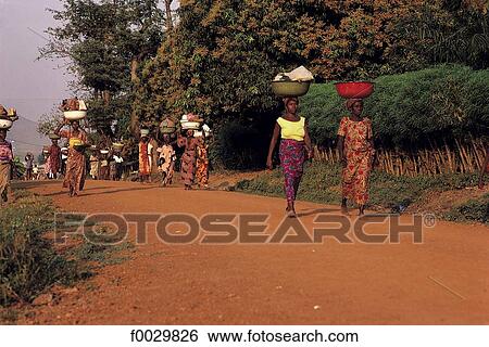 Togo, near Bassar, women carrying products on her head View Large Photo Image Stock Photograph - Togo, near Bassar, women carrying products on her head. Fotosearch