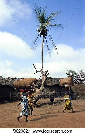 Togo, Tchamba, women carrying products on her head View Large Photo Image Stock Photo - Togo, Tchamba, women carrying products on her head. Fotosearch