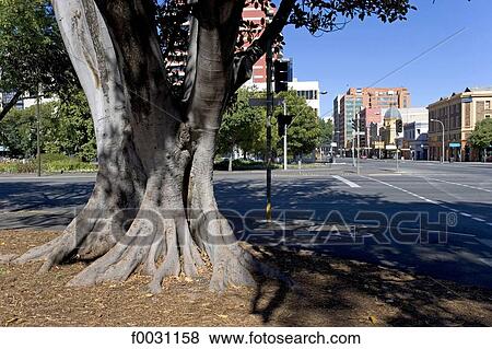 Stock Photo - Australia, Northern Territory, Adelaide. Fotosearch