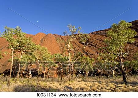 Australia, Northern Territory, Uluru-kata Tjuta national park, Ayers Rock, detail View Large Photo Image Picture - Australia, Northern Territory, Uluru-kata Tjuta national park, Ayers Rock, detail. Fotosearch