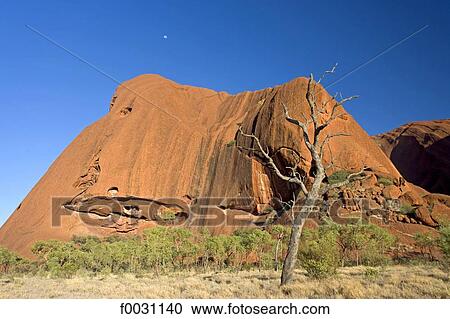 Australia, Northern Territory, Uluru-kata Tjuta national park, Ayers Rock, detail View Large Photo Image Stock Image - Australia, Northern Territory, Uluru-kata Tjuta national park, Ayers Rock, detail. Fotosearch