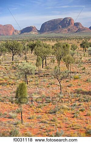 Australia, Northern Territory, Uluru-kata Tjuta national park, the Olgas View Large Photo Image Stock Photo - Australia, Northern Territory, Uluru-kata Tjuta national park, the Olgas. Fotosearch