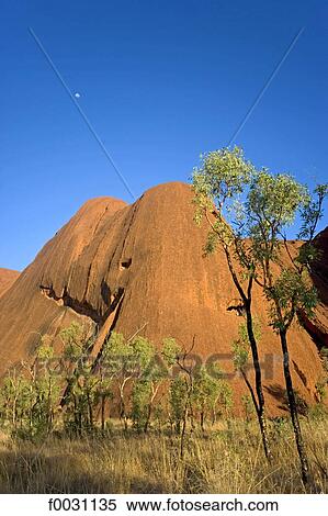 Australia, Northern Territory, Uluru-kata Tjuta national park, Ayers Rock, detail View Large Photo Image Stock Photography - Australia, Northern Territory, Uluru-kata Tjuta national park, Ayers Rock, detail. Fotosearch