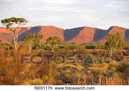Australia, Northern Territory, Watarrka national park, kings Canyon View Large Photo Image Stock Photography - Australia, Northern Territory, Watarrka national park, kings Canyon. Fotosearch
