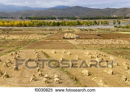 Stock Photography - China, Gansu, northern landscape, fields after harvest. Fotosearch