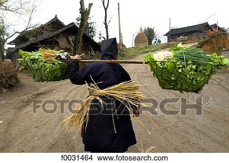 Picture - China, Guizhou, near Kaili, miao woman carrying vegetables. Fotosearch