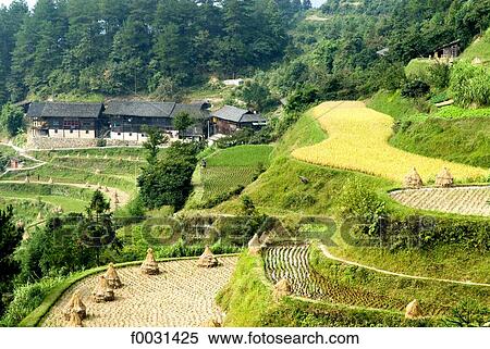 Stock Photography - China, Guizhou, Near Kaili, Nanhua village. Fotosearch