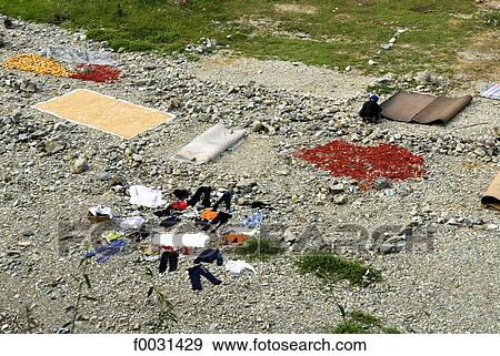 China, Guizhou, near Leishan, rice, chili and clothes drying under the sun View Large Photo Image Stock Photo - China, Guizhou, near Leishan, rice, chili and clothes drying under the sun. Fotosearch
