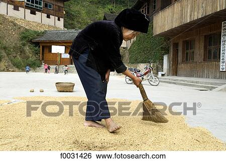 Stock Photograph - China, Guizhou, old woman spreading paddy rice with a broom. Fotosearch