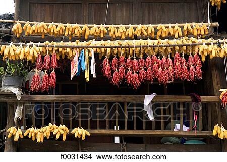 China, Guizhou, Xijiang village, corn and chili drying View Large Photo Image Picture - China, Guizhou, Xijiang village, corn and chili drying. Fotosearch